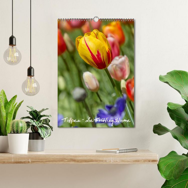 Produktbild: Tulpen - die Fr&uuml;hlingsblume (Wandkalender 2026 DIN A3 hoch), CALVENDO Monatskalender