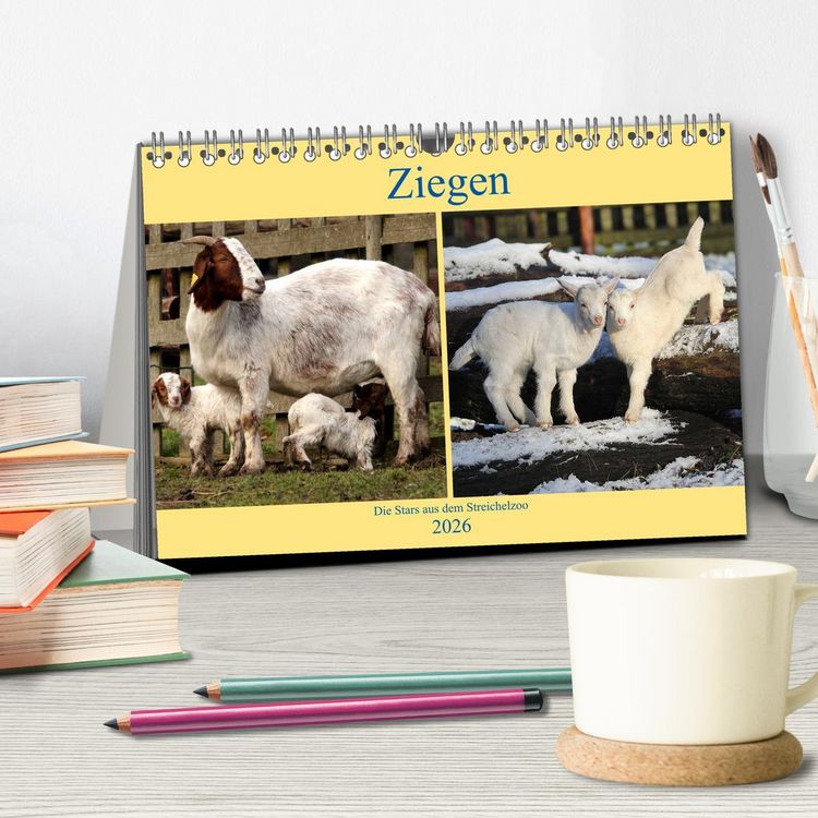Produktbild: Ziegen - Die Stars aus dem Streichelzoo (Tischkalender 2026 DIN A5 quer), CALVENDO Monatskalender