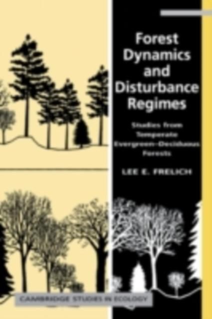 Produktbild: Forest Dynamics and Disturbance Regimes