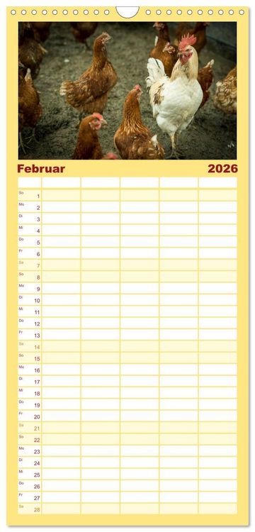 Produktbild: Familienplaner 2026 - H&uuml;hner in meinem Garten mit 5 Spalten (Wandkalender, 21 x 45 cm) CALVENDO