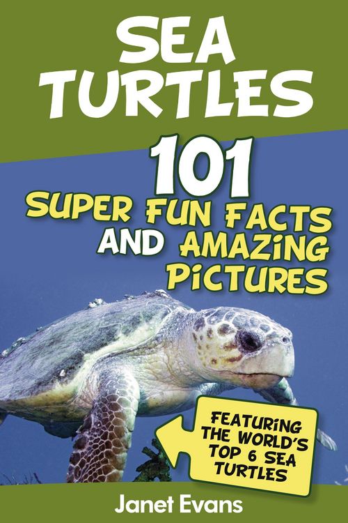 Produktbild: Sea Turtles : 101 Super Fun Facts And Amazing Pictures (Featuring The World's Top 6 Sea Turtles)