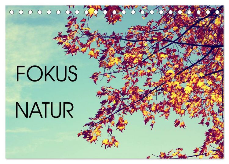 Produktbild: Focus Natur (Tischkalender 2026 DIN A5 quer), CALVENDO Monatskalender