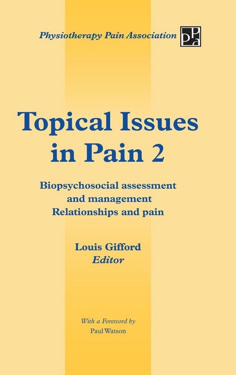 Produktbild: Topical Issues in Pain 2