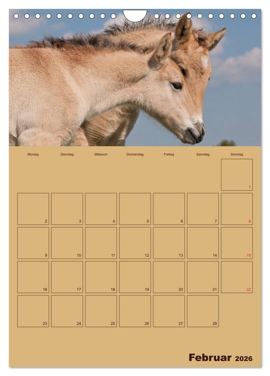 Produktbild: Pferde Gute Freunde (Wandkalender 2026 DIN A4 hoch), CALVENDO Monatskalender