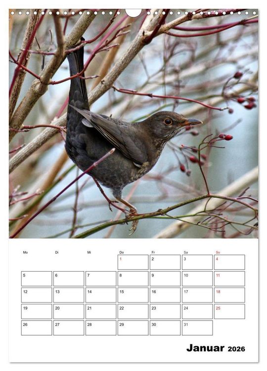 Produktbild: Heimische Wildtiere Terminplaner (Wandkalender 2026 DIN A3 hoch), CALVENDO Monatskalender