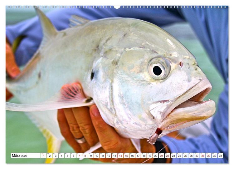 Produktbild: Anglergl&uuml;ck - den Fisch am Haken (Wandkalender 2026 DIN A2 quer), CALVENDO Monatskalender