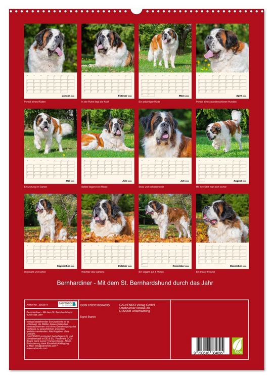 Produktbild: Bernhardiner - Mit dem St. Bernhardshund durch das Jahr (hochwertiger Premium Wandkalender 2026 DIN A2 hoch), Kunstdruck in Hochglanz