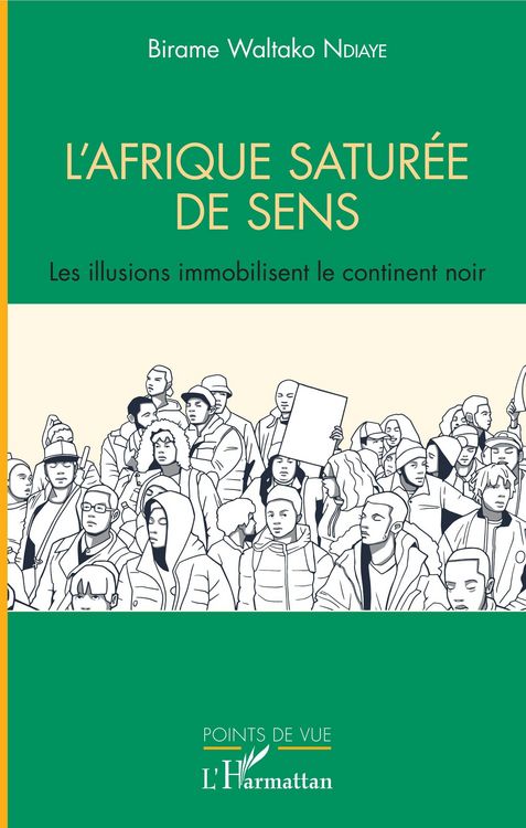 Produktbild: L'Afrique satur&eacute;e de sens