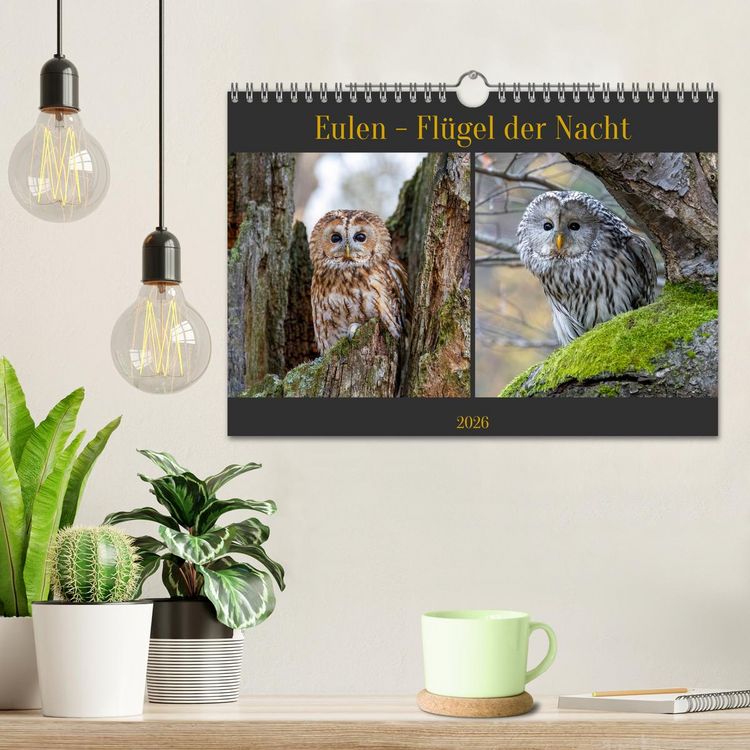 Produktbild: Eulen - Fl&uuml;gel der Nacht (Wandkalender 2026 DIN A4 quer), CALVENDO Monatskalender