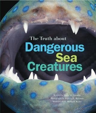 Produktbild: Truth About Dangerous Sea Creatures