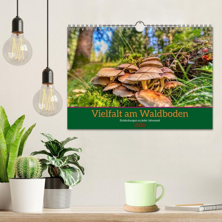 Produktbild: Vielfalt am Waldboden (Wandkalender 2026 DIN A4 quer), CALVENDO Monatskalender