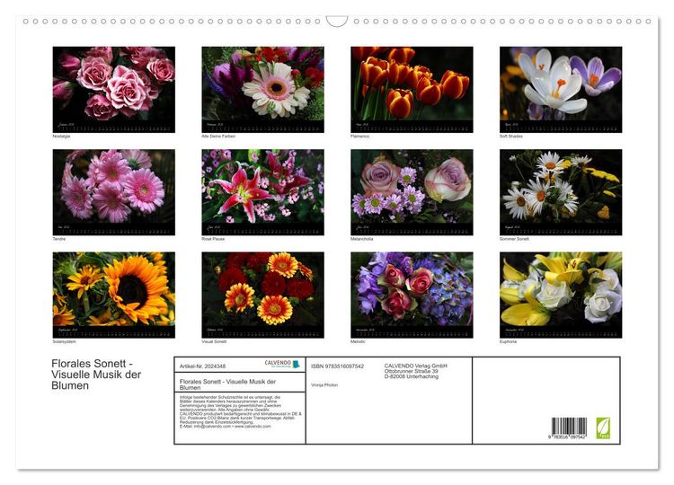 Produktbild: Florales Sonett - Visuelle Musik der Blumen (Wandkalender 2026 DIN A2 quer), CALVENDO Monatskalender
