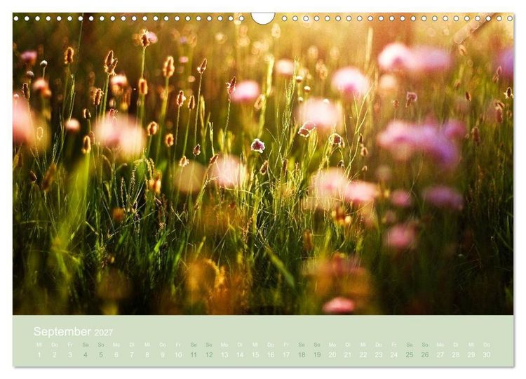 Produktbild: Zeitenwandel - Ein Jahr in der Natur (Wandkalender 2027 DIN A3 quer), CALVENDO Monatskalender