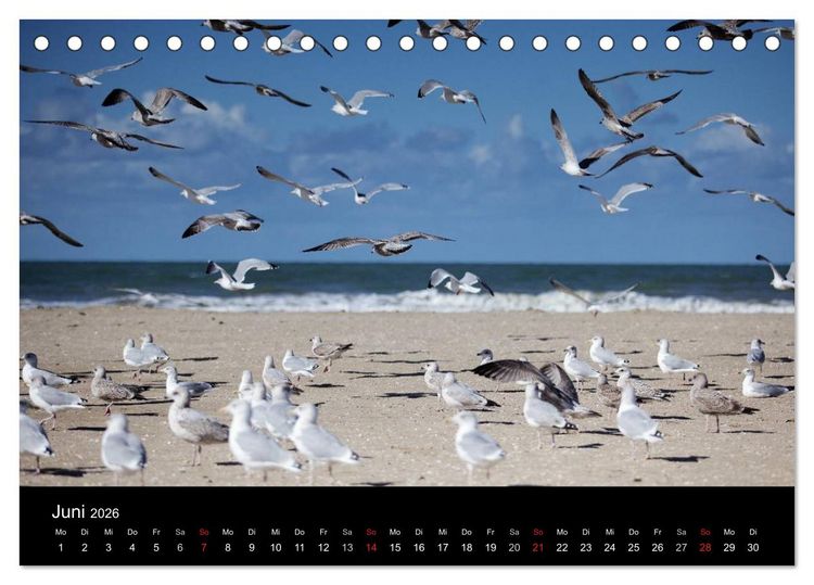 Produktbild: Frankreich Normandie (Tischkalender 2026 DIN A5 quer), CALVENDO Monatskalender