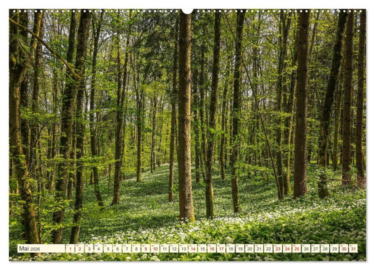 Produktbild: Hegau und Bodensee - Lieblingsorte entdecken (hochwertiger Premium Wandkalender 2026 DIN A2 quer), Kunstdruck in Hochglanz