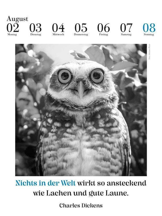 Produktbild: Der literarische Eulenkalender 2027