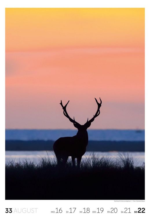 Produktbild: Natur Wochenkalender 2027