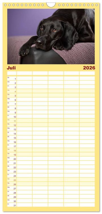 Produktbild: Familienplaner 2026 - Bunte Pfoten mit 5 Spalten (Wandkalender, 21 x 45 cm) CALVENDO