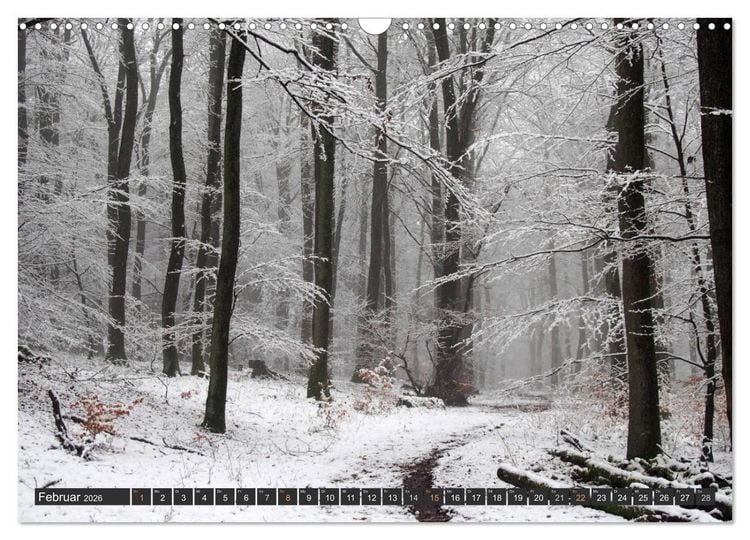 Produktbild: Unterwegs im Hunsr&uuml;ck (Wandkalender 2026 DIN A3 quer), CALVENDO Monatskalender