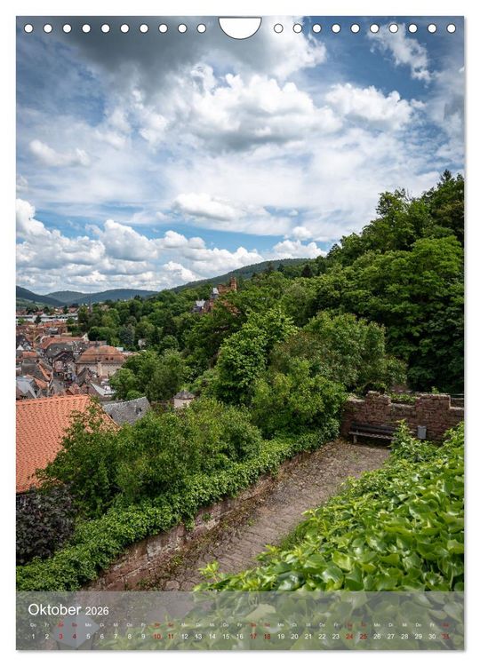 Produktbild: Miltenberg am Mainviereck (Wandkalender 2026 DIN A4 hoch), CALVENDO Monatskalender