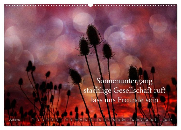 Produktbild: Haiku - Gedichte in 17 Silben (Wandkalender 2026 DIN A2 quer), CALVENDO Monatskalender