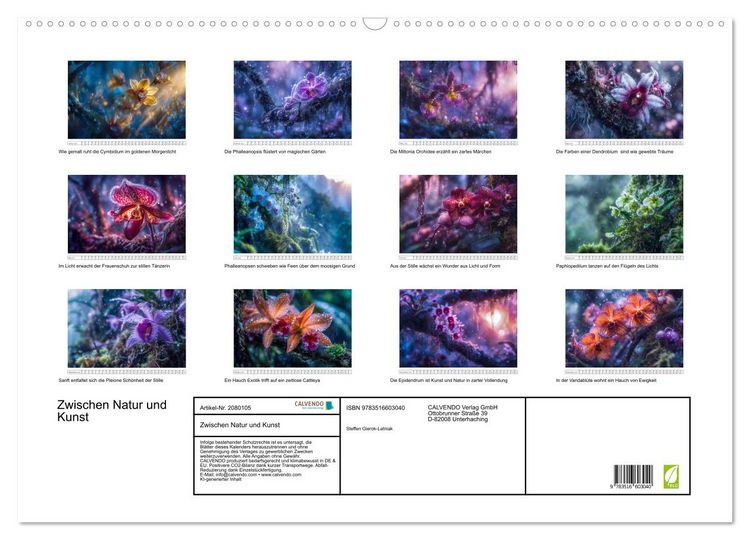Produktbild: Zwischen Natur und Kunst (Wandkalender 2026 DIN A2 quer), CALVENDO Monatskalender