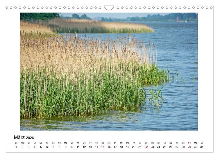 Produktbild: Schleswig und die Schlei - von Schloss Gottorf bis Schleim&uuml;nde (Wandkalender 2026 DIN A3 quer), CALVENDO Monatskalender