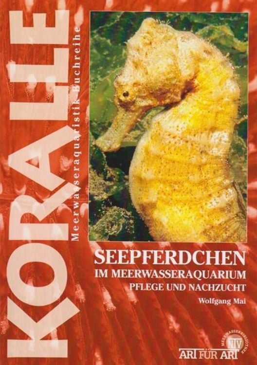 Produktbild: Seepferdchen im Meerwasseraquarium