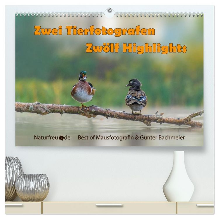 Produktbild: Zwei Tierfotografen Zw&ouml;lf Highlights (hochwertiger Premium Wandkalender 2026 DIN A2 quer), Kunstdruck in Hochglanz