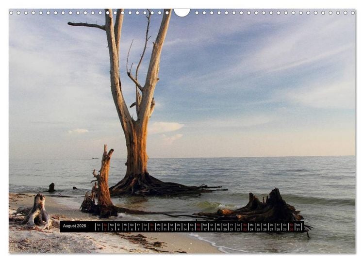 Produktbild: Florida Impressionen (Wandkalender 2026 DIN A3 quer), CALVENDO Monatskalender