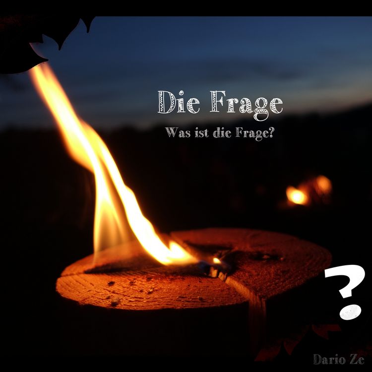 Produktbild: Die Frage