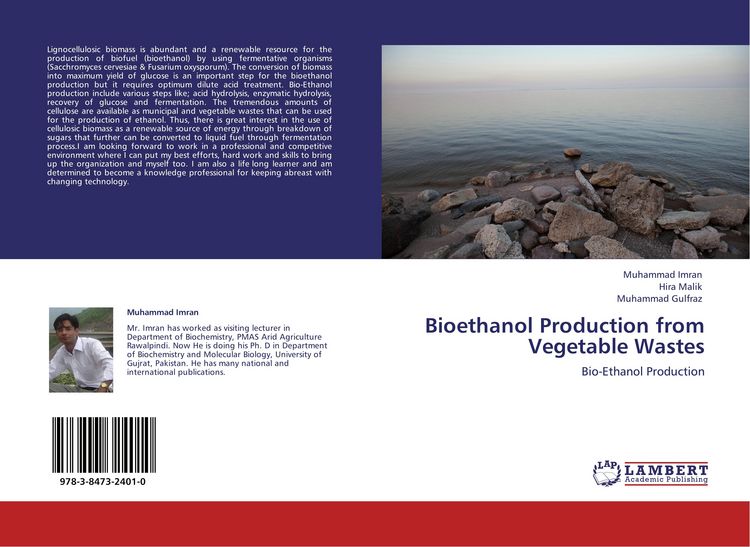 Produktbild: Bioethanol Production from Vegetable Wastes