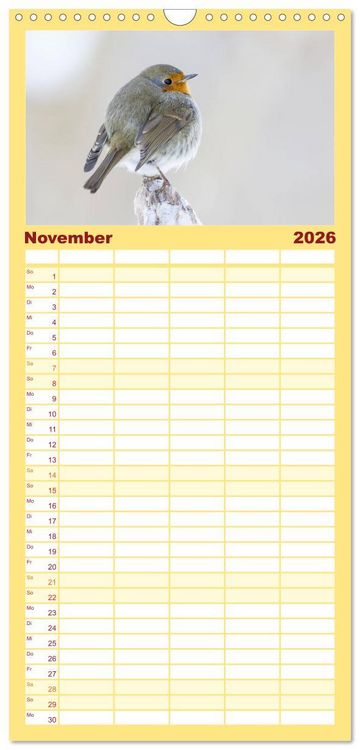 Produktbild: Familienplaner 2026 - Geliebtes Rotkehlchen mit 5 Spalten (Wandkalender, 21 x 45 cm) CALVENDO