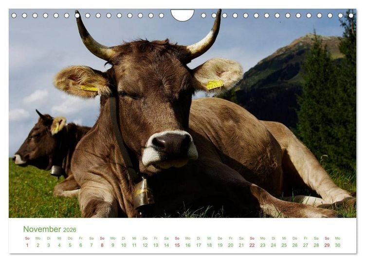 Produktbild: Bergwelt in &Ouml;sterreich (Wandkalender 2026 DIN A4 quer), CALVENDO Monatskalender