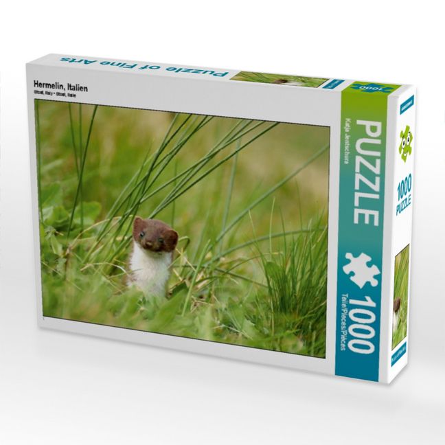 Produktbild: CALVENDO Puzzle Hermelin, Italien | 1000 Teile Lege-Gr&ouml;&szlig;e 64x48cm Foto-Puzzle f&uuml;r gl&uuml;ckliche Stunden