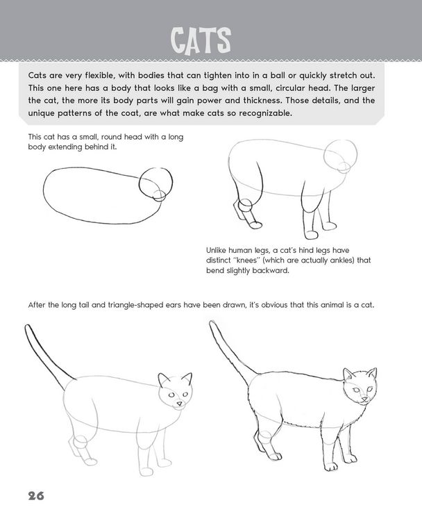 Produktbild: Drawing Animals