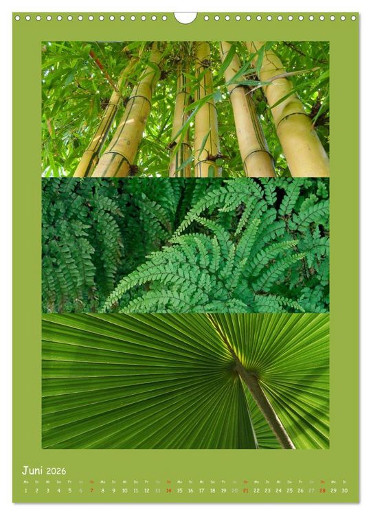 Produktbild: Natur im Farbenrausch (Wandkalender 2026 DIN A3 hoch), CALVENDO Monatskalender