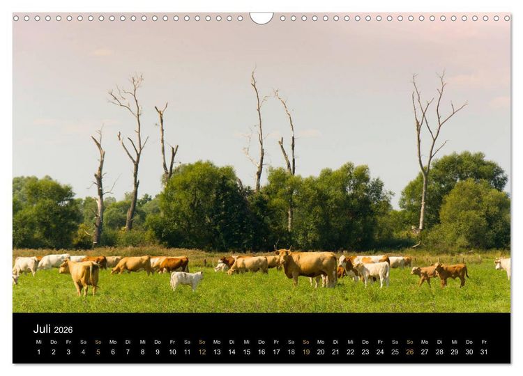 Produktbild: Brandenburg - Landschaften zwischen Elbe und Oder (Wandkalender 2026 DIN A3 quer), CALVENDO Monatskalender