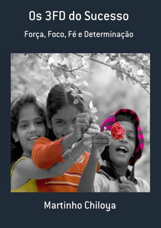Produktbild: Os 3fd Do Sucesso