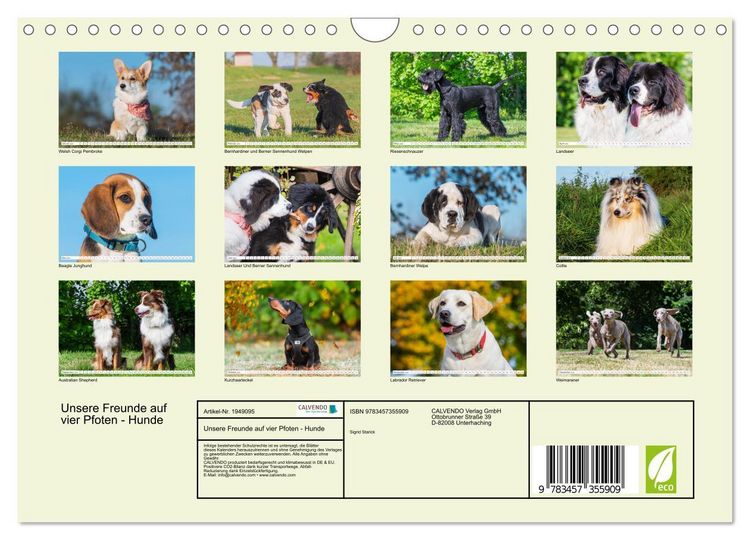 Produktbild: Unsere Freunde auf vier Pfoten - Hunde (Wandkalender 2026 DIN A4 quer), CALVENDO Monatskalender