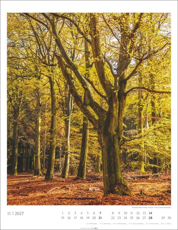 Produktbild: Heimische W&auml;lder Kalender 2027