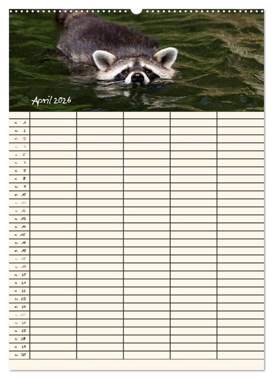 Produktbild: Waschb&auml;ren Familienplaner (Wandkalender 2026 DIN A2 hoch), CALVENDO Monatskalender