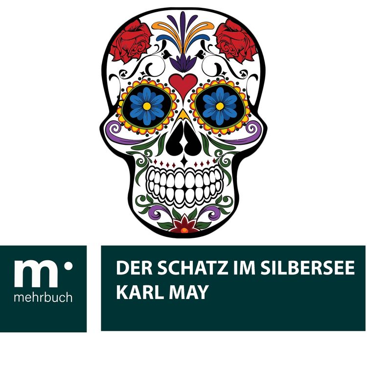 Produktbild: Der Schatz im Silbersee