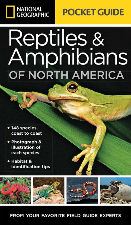 Produktbild: National Geographic Pocket Guide to Reptiles and Amphibians of North America