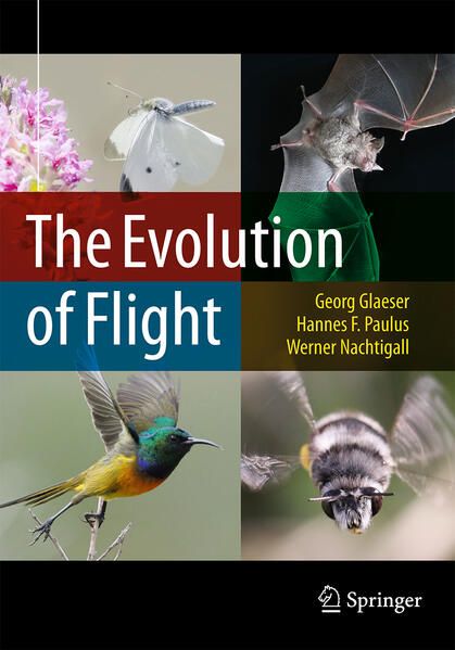 Produktbild: The Evolution of Flight