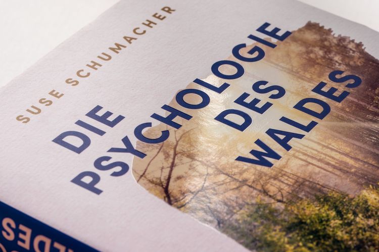 Produktbild: Die Psychologie des Waldes
