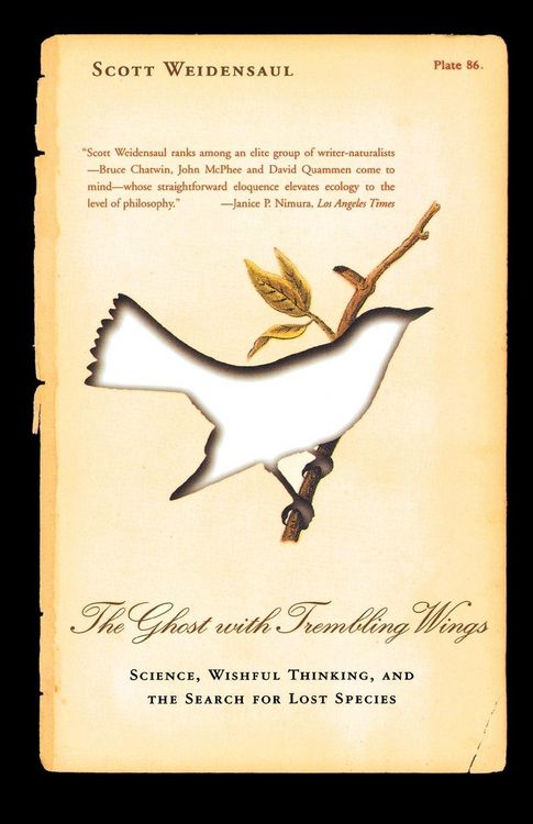 Produktbild: The Ghost with Trembling Wings
