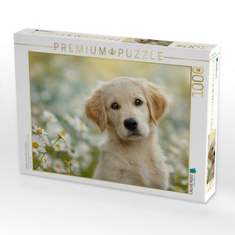 Produktbild: CALVENDO Puzzle Ein Blick, und dein Herz schmilzt dahin | 1000 Teile Lege-Gr&ouml;&szlig;e 64x48cm Foto-Puzzle f&uuml;r gl&uuml;ckliche Stunden