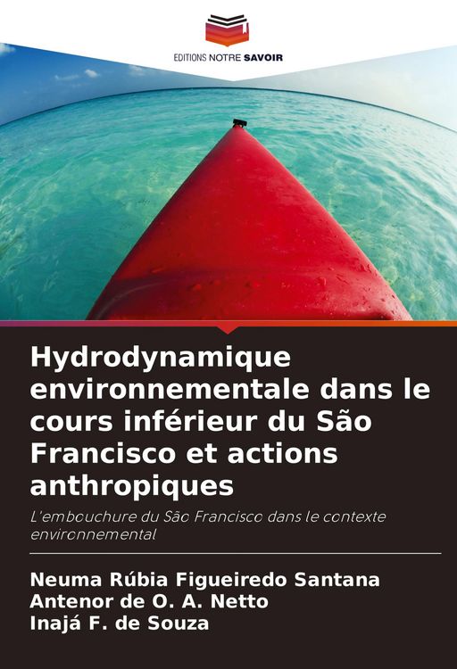 Produktbild: Hydrodynamique environnementale dans le cours inf&eacute;rieur du S&atilde;o Francisco et actions anthropiques