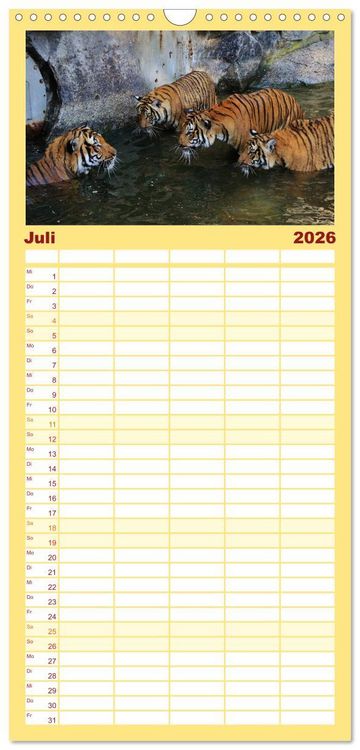 Produktbild: Familienplaner 2026 - Tiger mit 5 Spalten (Wandkalender, 21 x 45 cm) CALVENDO